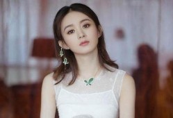 中餐厅赵丽颖最新爆料,揭秘中餐厅幕后故事与精彩瞬间