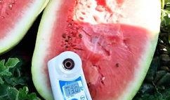 最新的瓜网红爆料,揭秘娱乐圈惊人内幕！